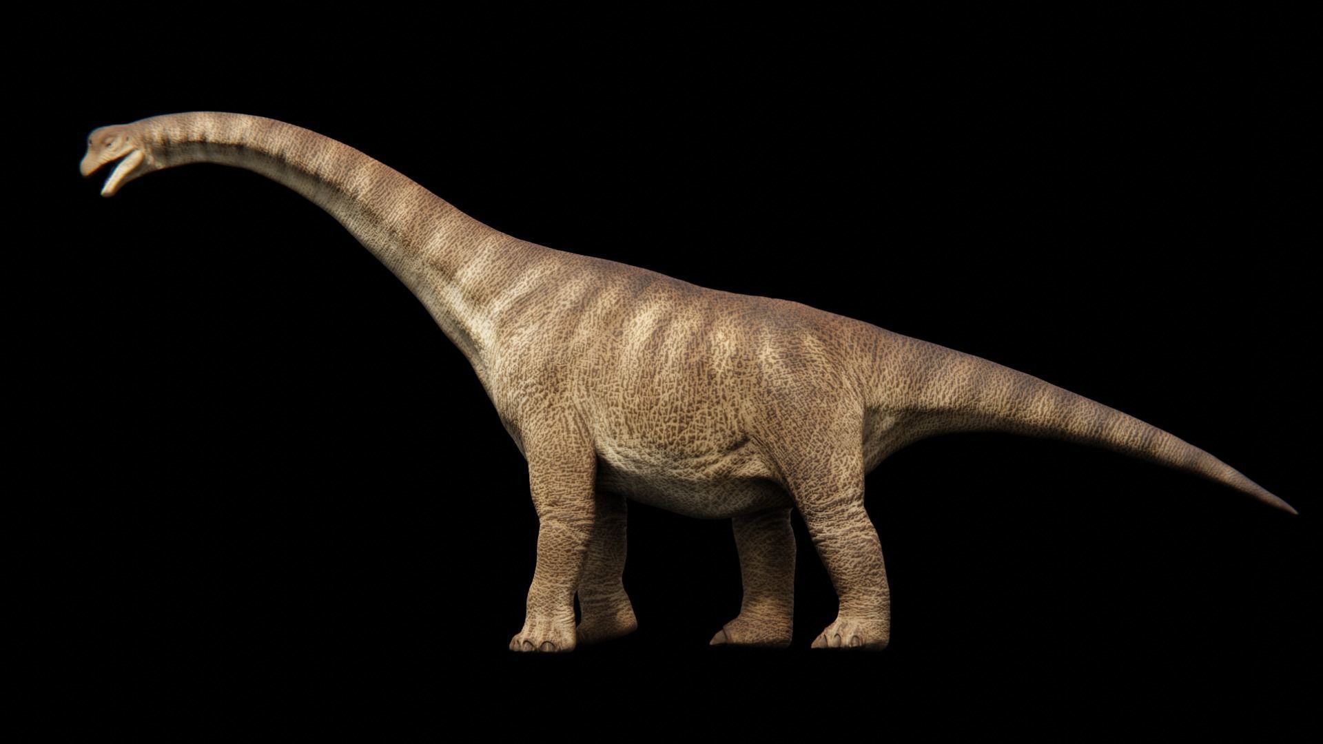 Brachiosaurus Sauropod Dinosaur Low-poly 3D model_2
