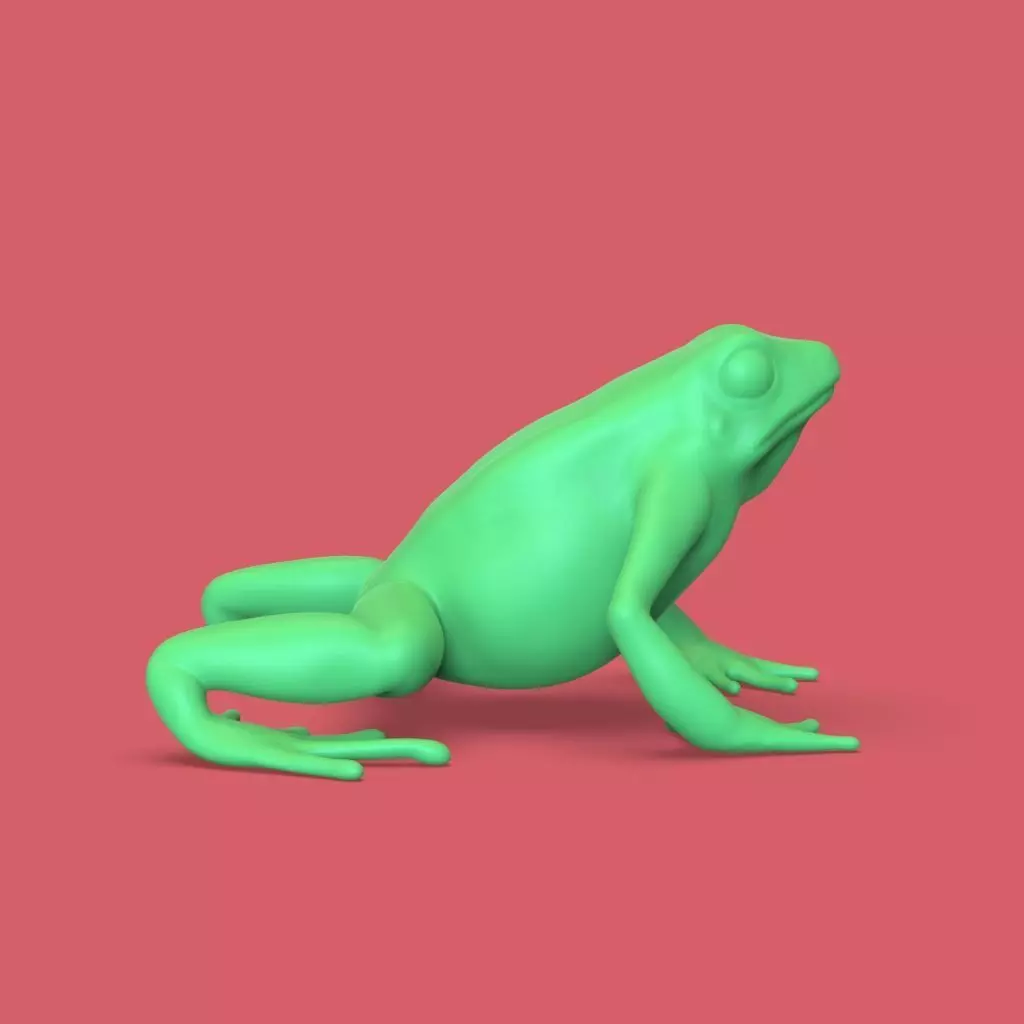 frog stl 3D print model_0
