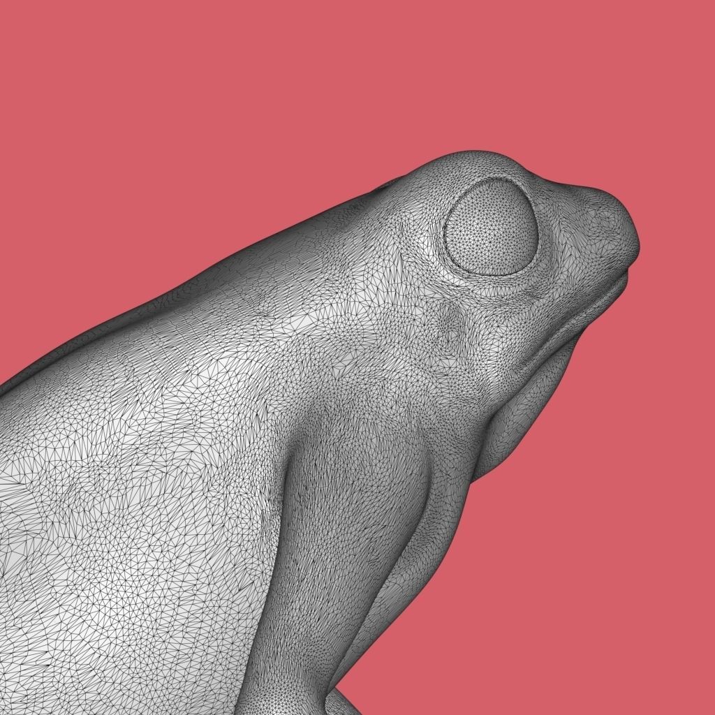frog stl 3D print model_4