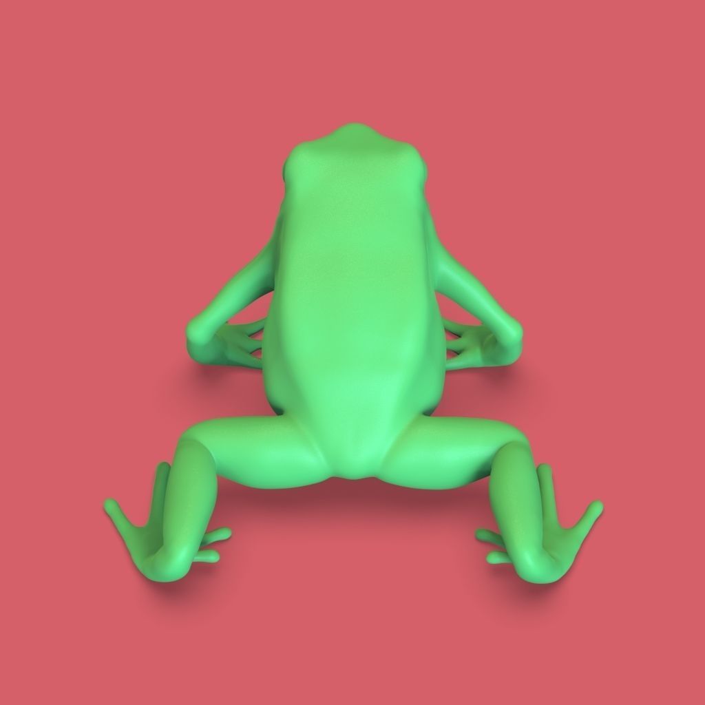 frog stl 3D print model_2