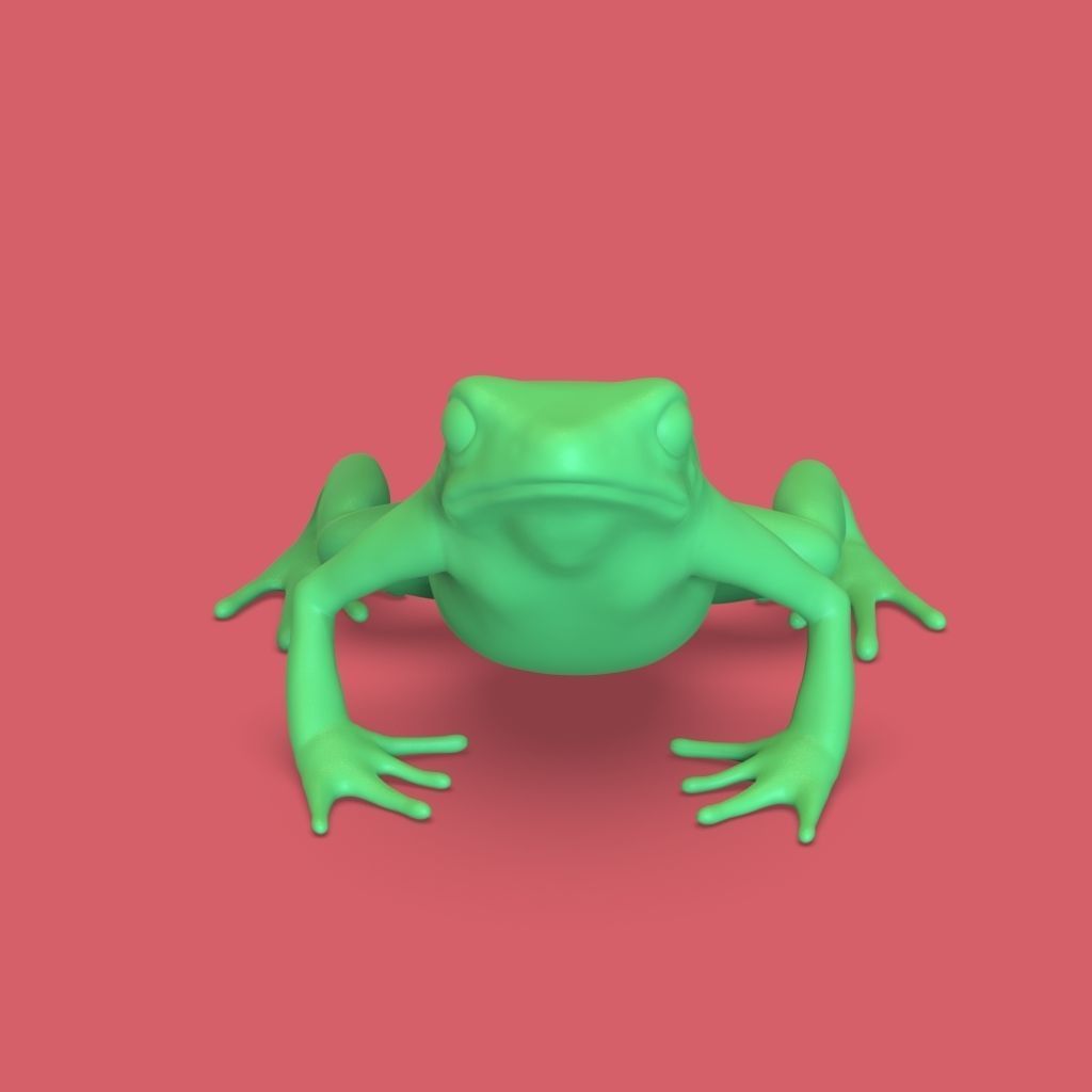 frog stl 3D print model_3