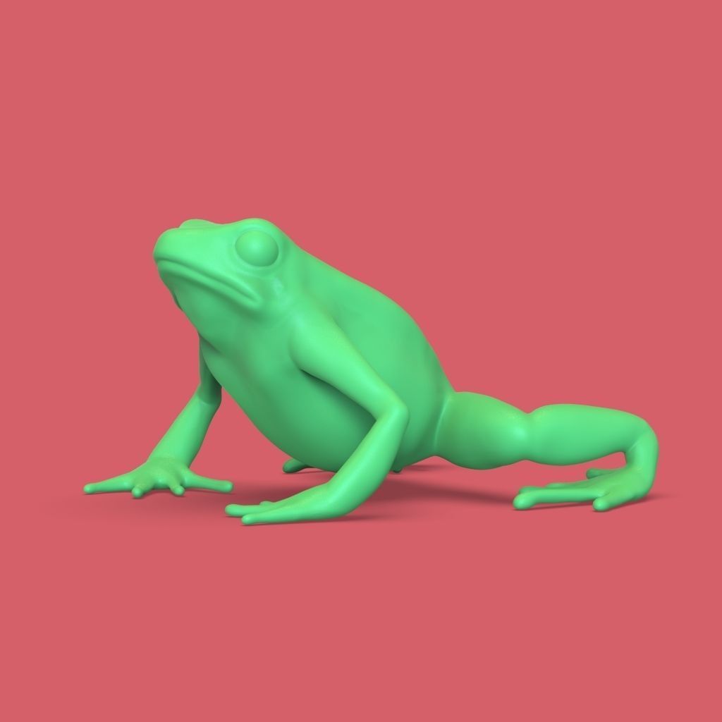 frog stl 3D print model_1
