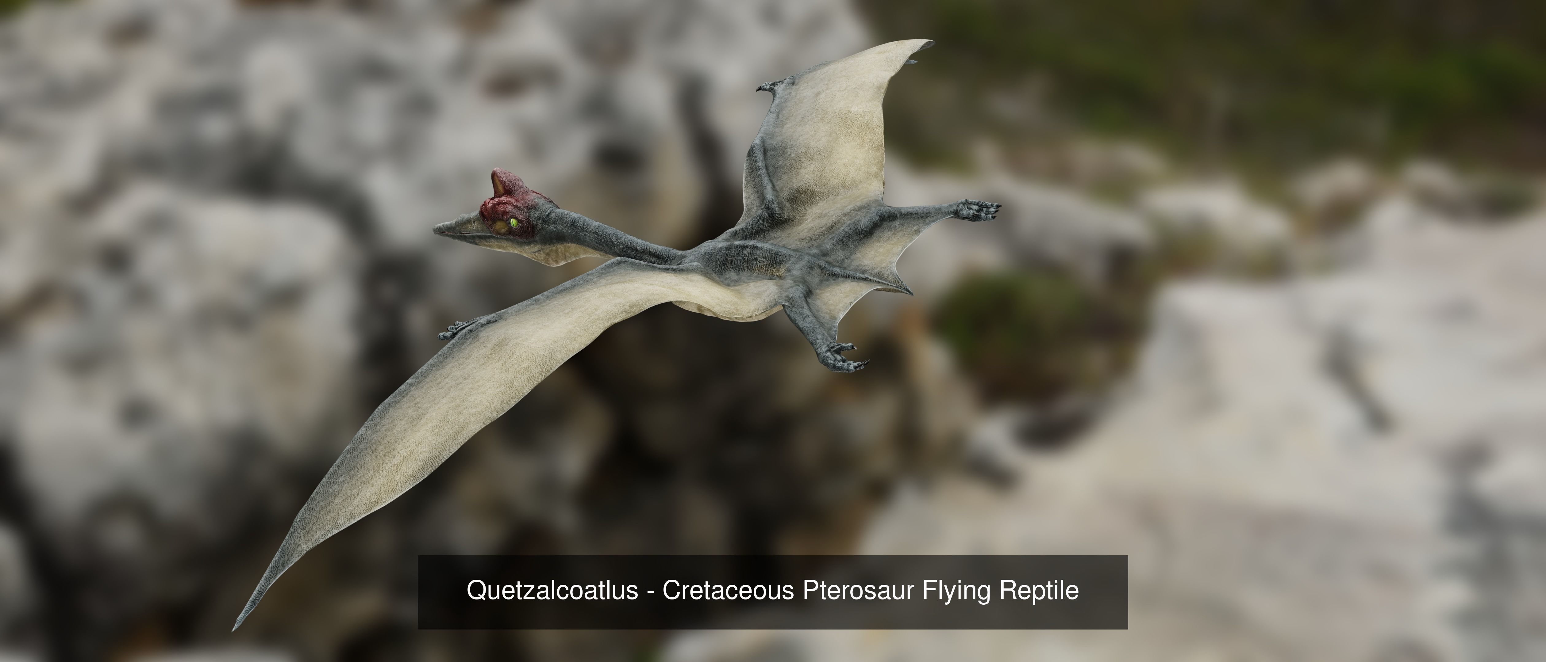 Prehistoric Animal Dinosaur 3D Model Collection_26