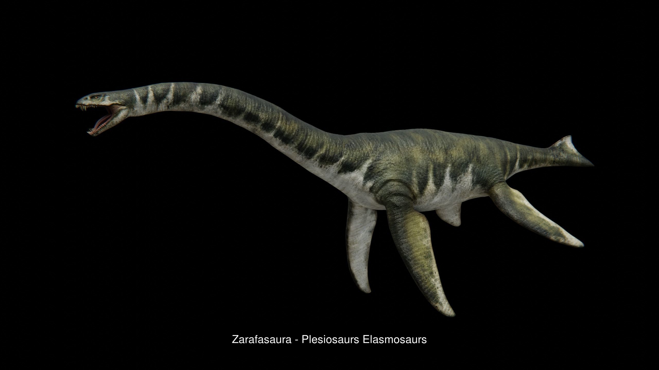 Prehistoric Animal Dinosaur 3D Model Collection_20