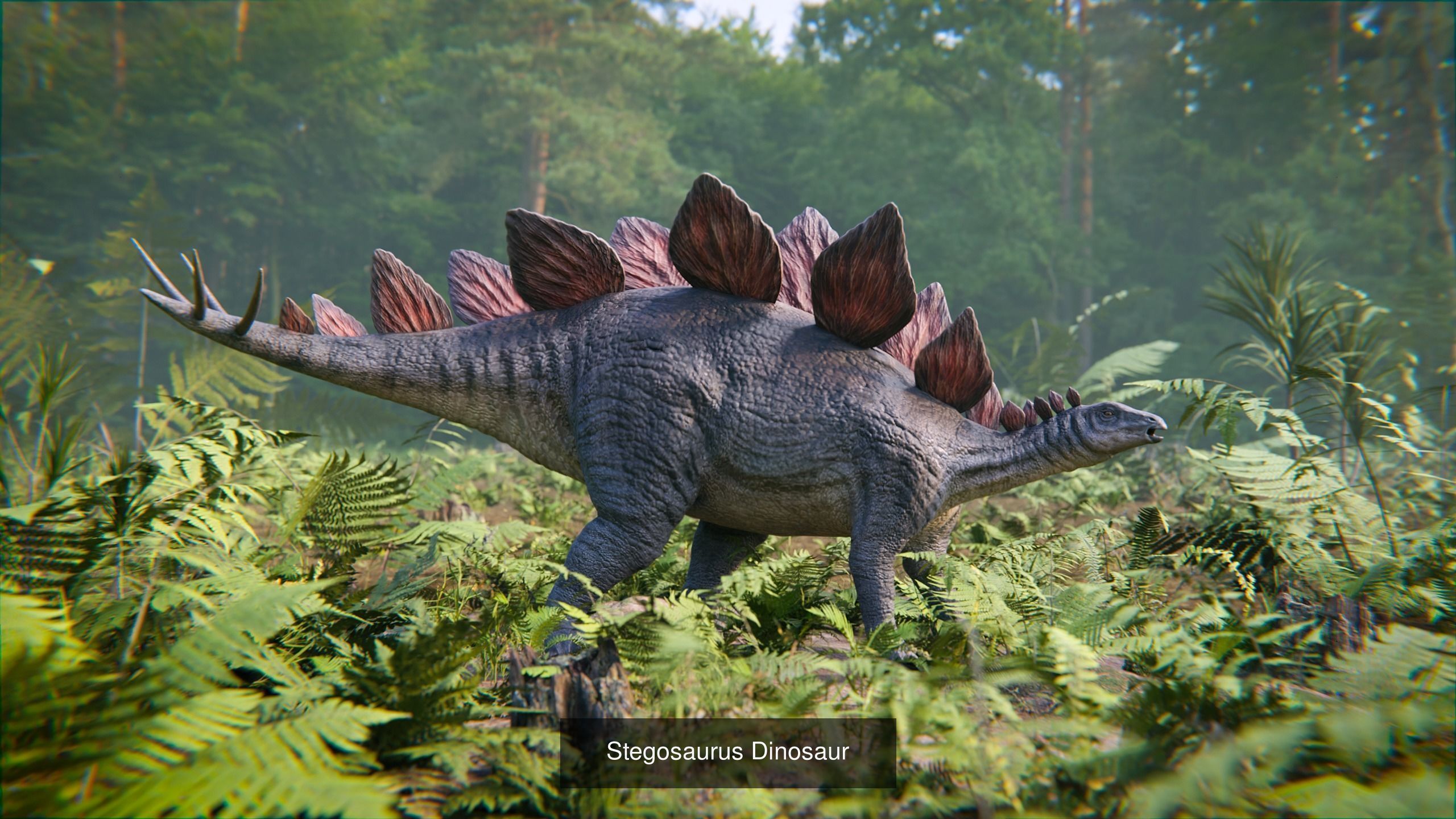 Prehistoric Animal Dinosaur 3D Model Collection_22