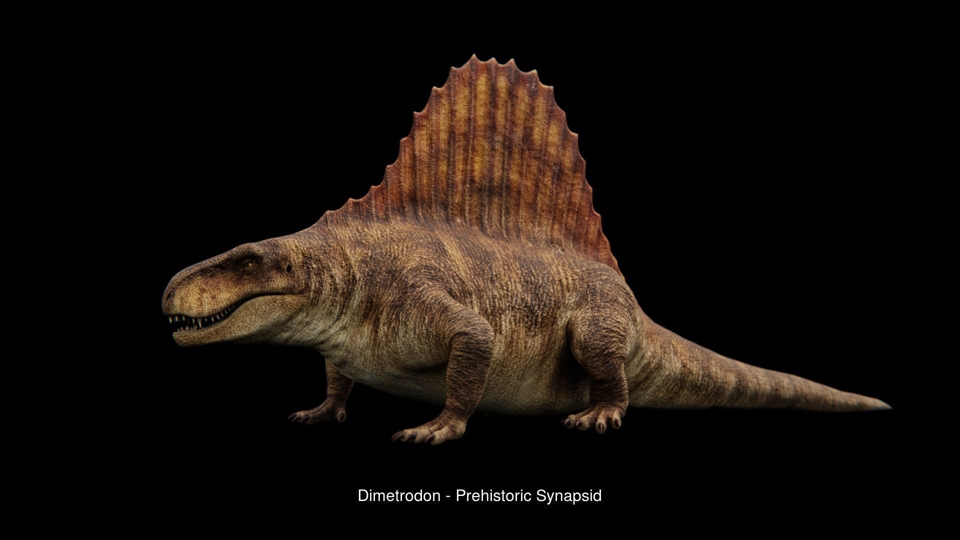 Prehistoric Animal Dinosaur 3D Model Collection_19