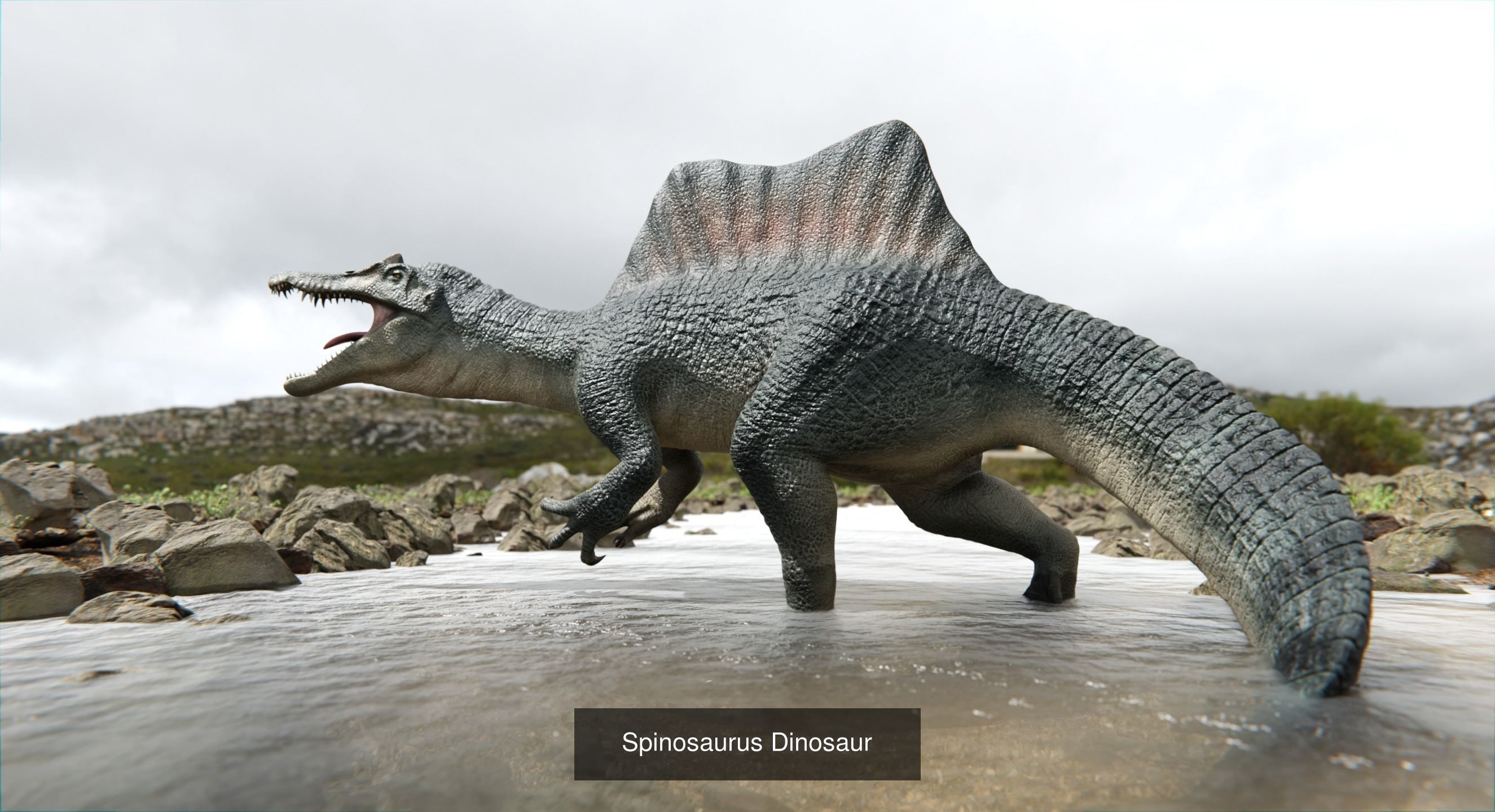 Prehistoric Animal Dinosaur 3D Model Collection_21