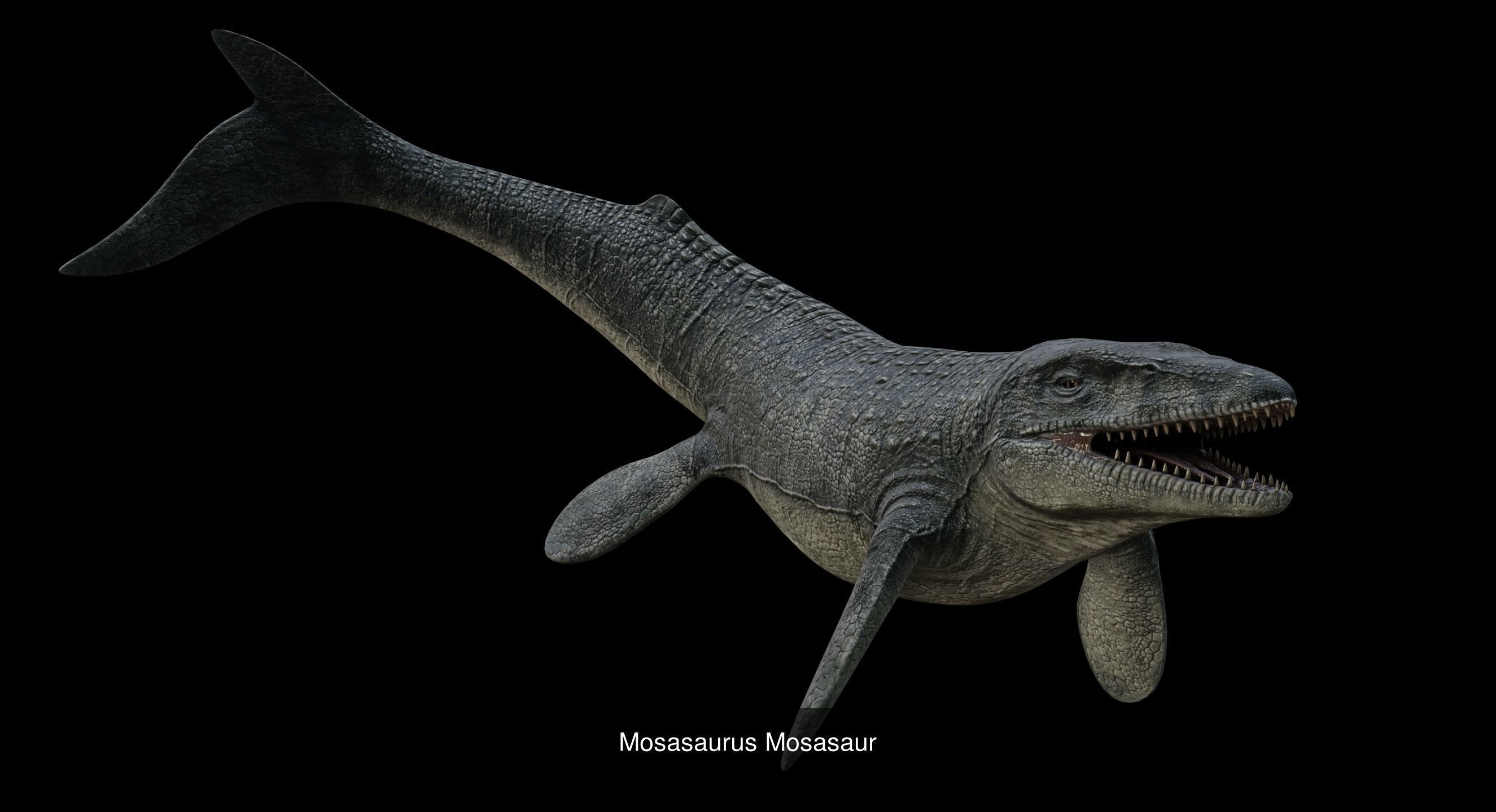 Prehistoric Animal Dinosaur 3D Model Collection_23