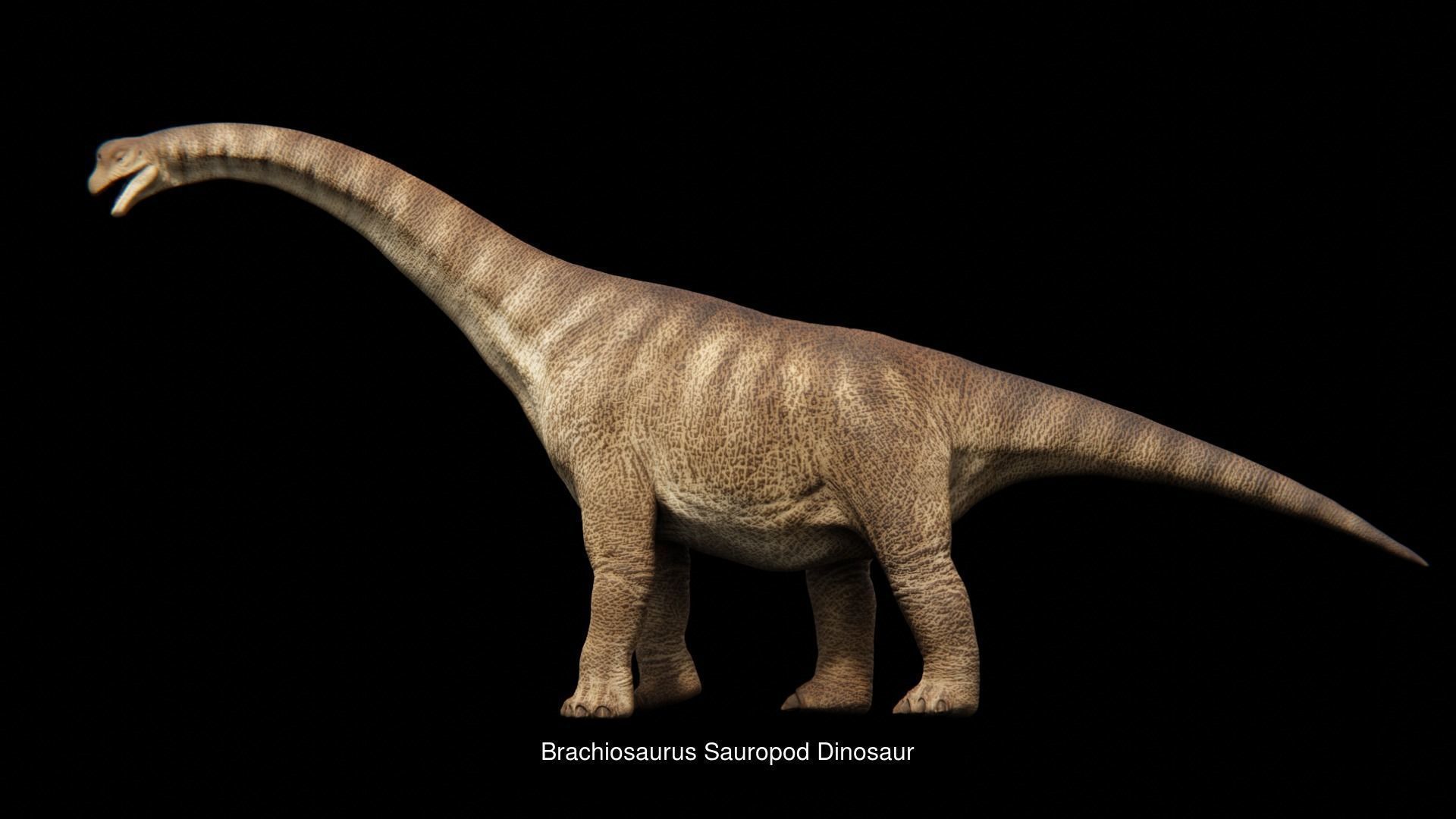 Prehistoric Animal Dinosaur 3D Model Collection_17