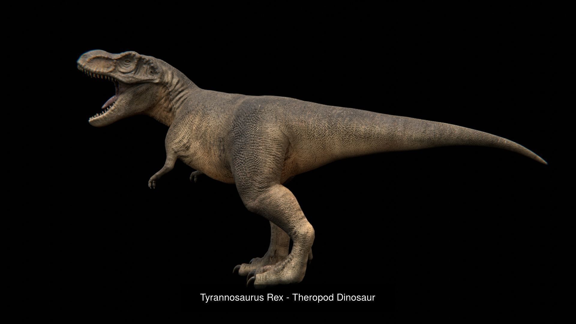 Prehistoric Animal Dinosaur 3D Model Collection_15