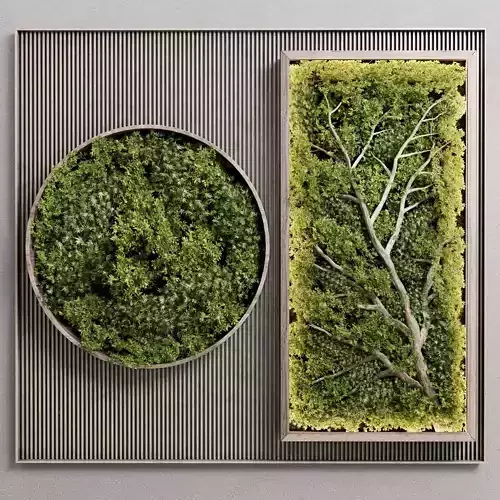 Vertical Wall Garden With Wooden Frame - Green Wall Garden 62