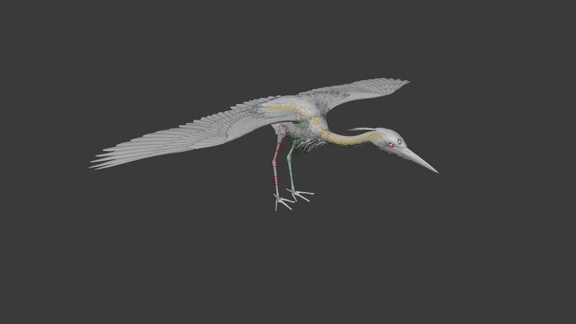 GreyHeron Animation VFX Grace 3D model_22