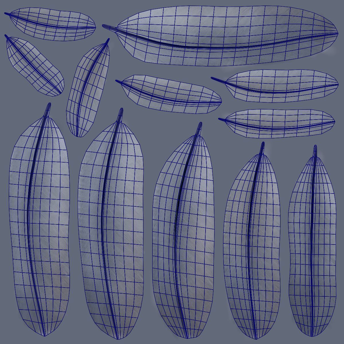 GreyHeron Animation VFX Grace 3D model_45