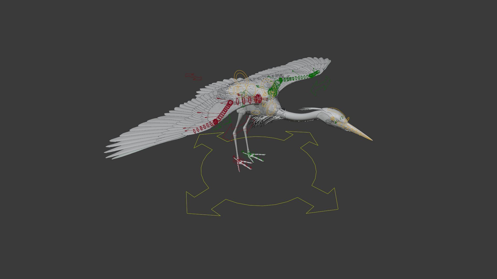 GreyHeron Animation VFX Grace 3D model_29