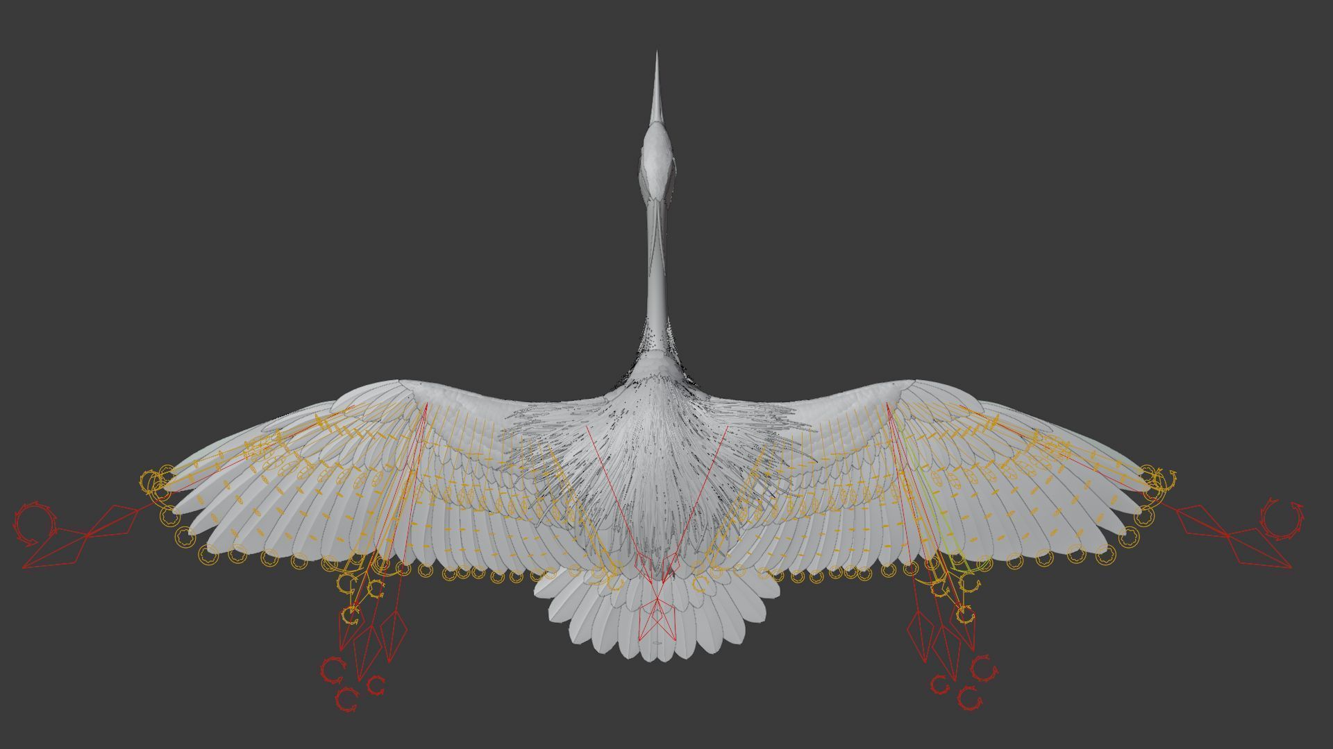 GreyHeron Animation VFX Grace 3D model_31