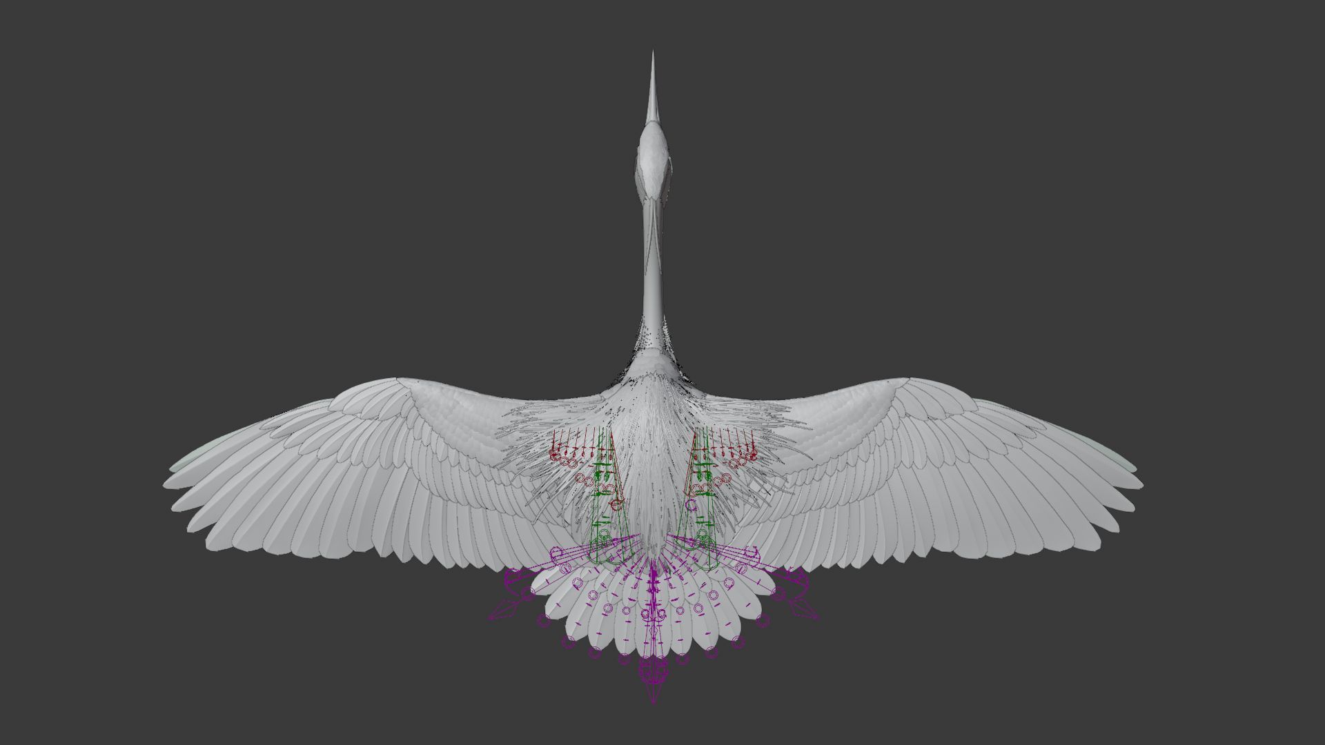 GreyHeron Animation VFX Grace 3D model_25