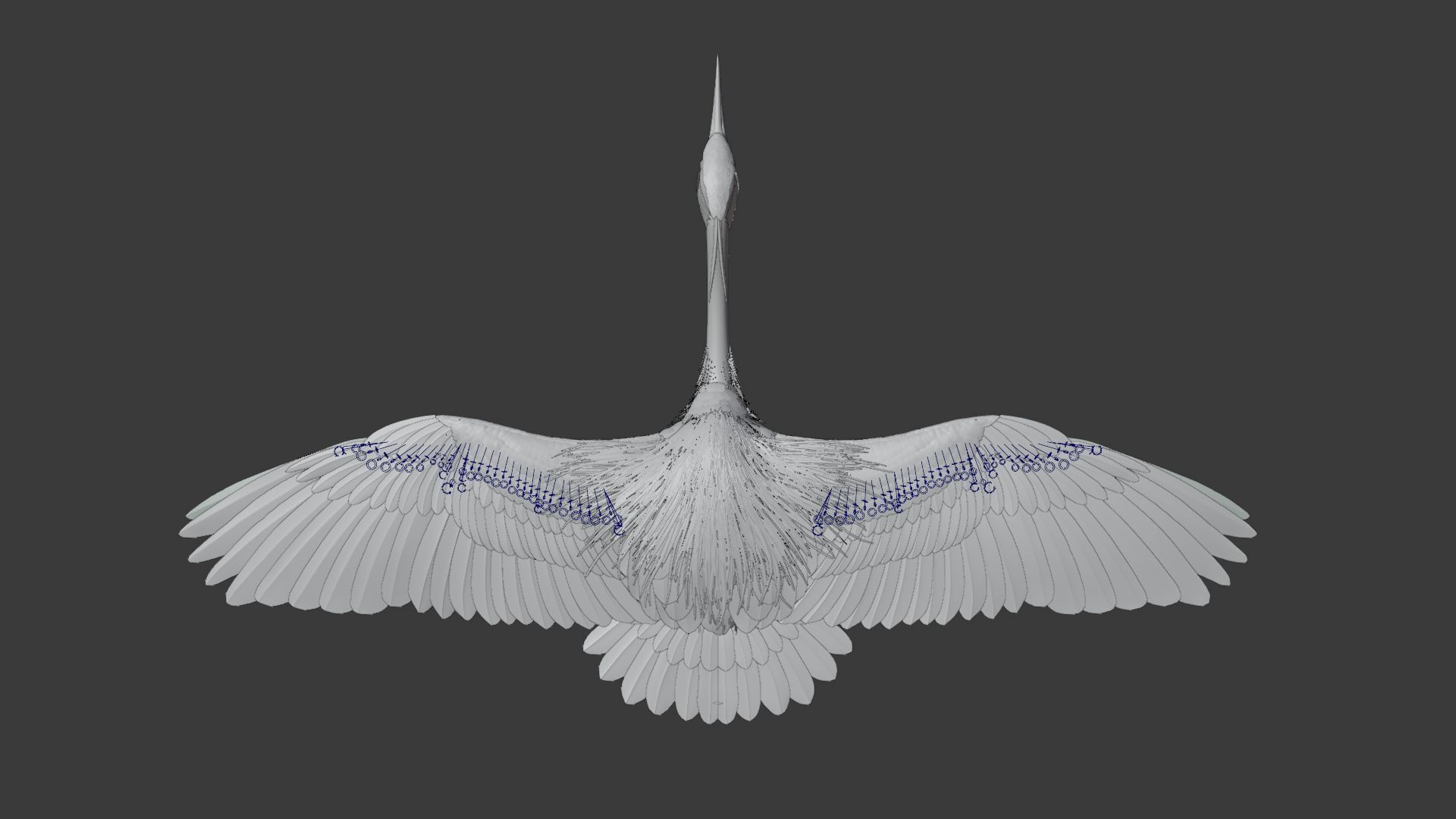 GreyHeron Animation VFX Grace 3D model_32