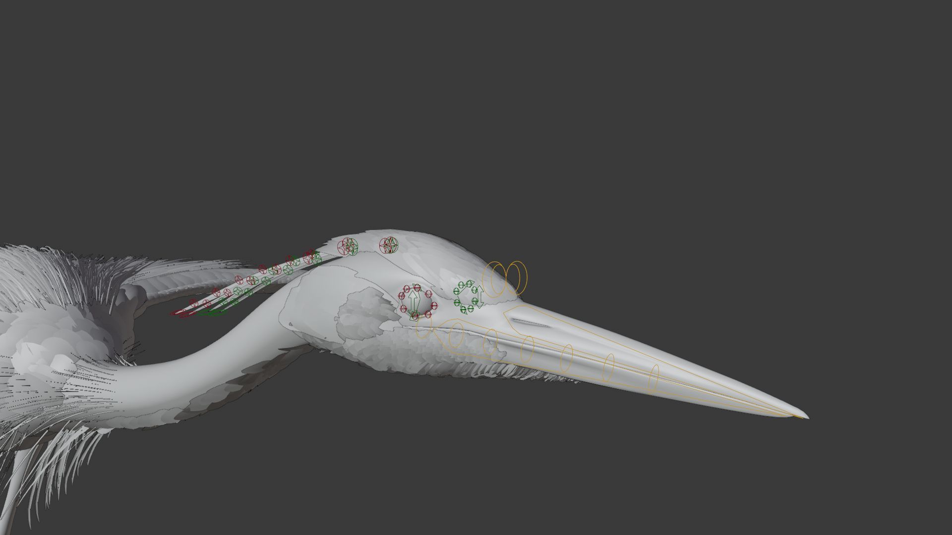 GreyHeron Animation VFX Grace 3D model_26