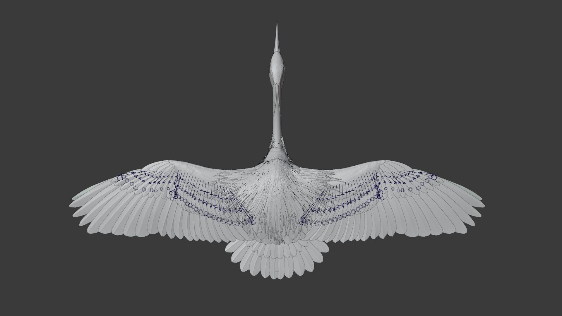 GreyHeron Animation VFX Grace 3D model_23