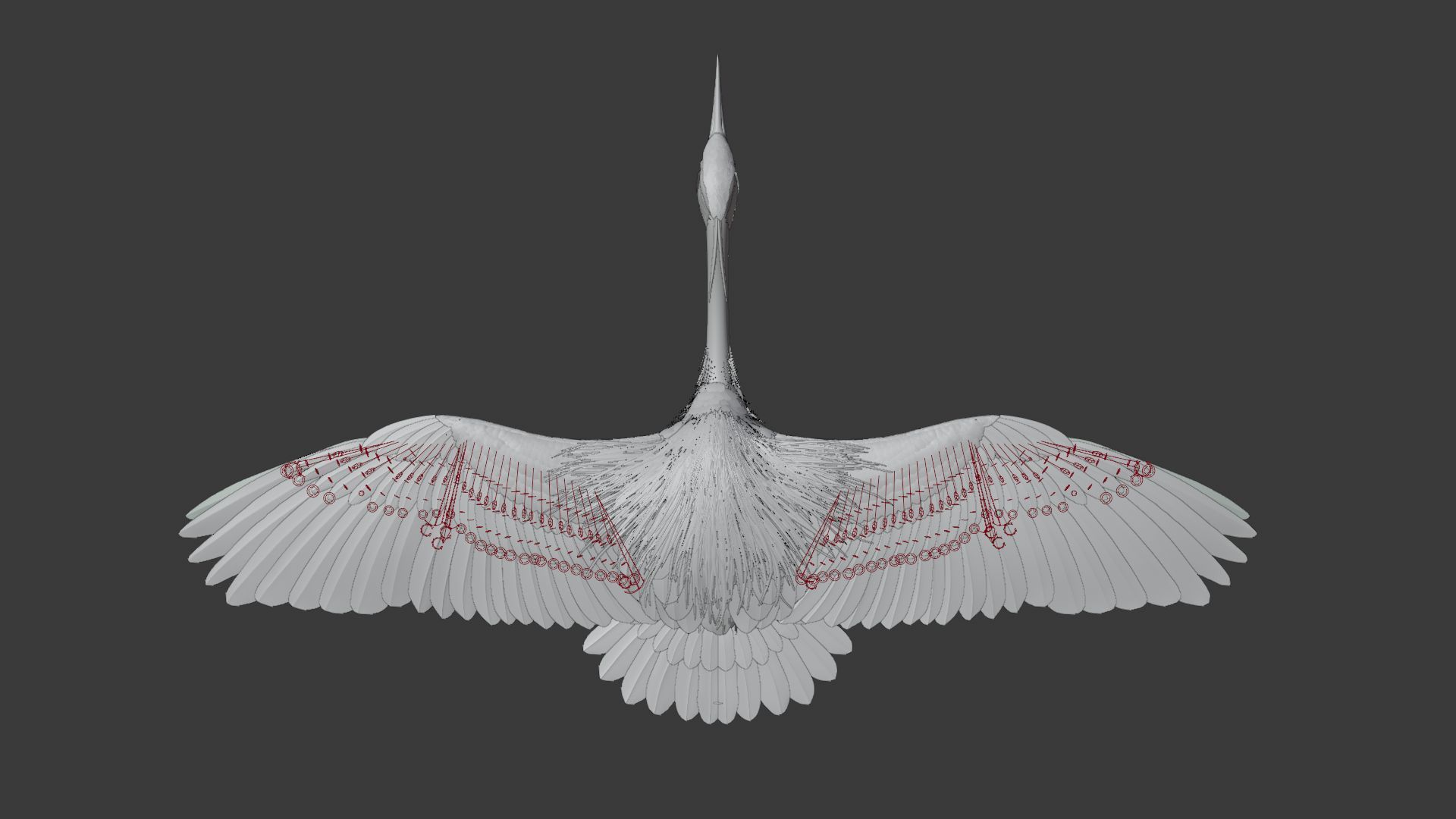 GreyHeron Animation VFX Grace 3D model_30