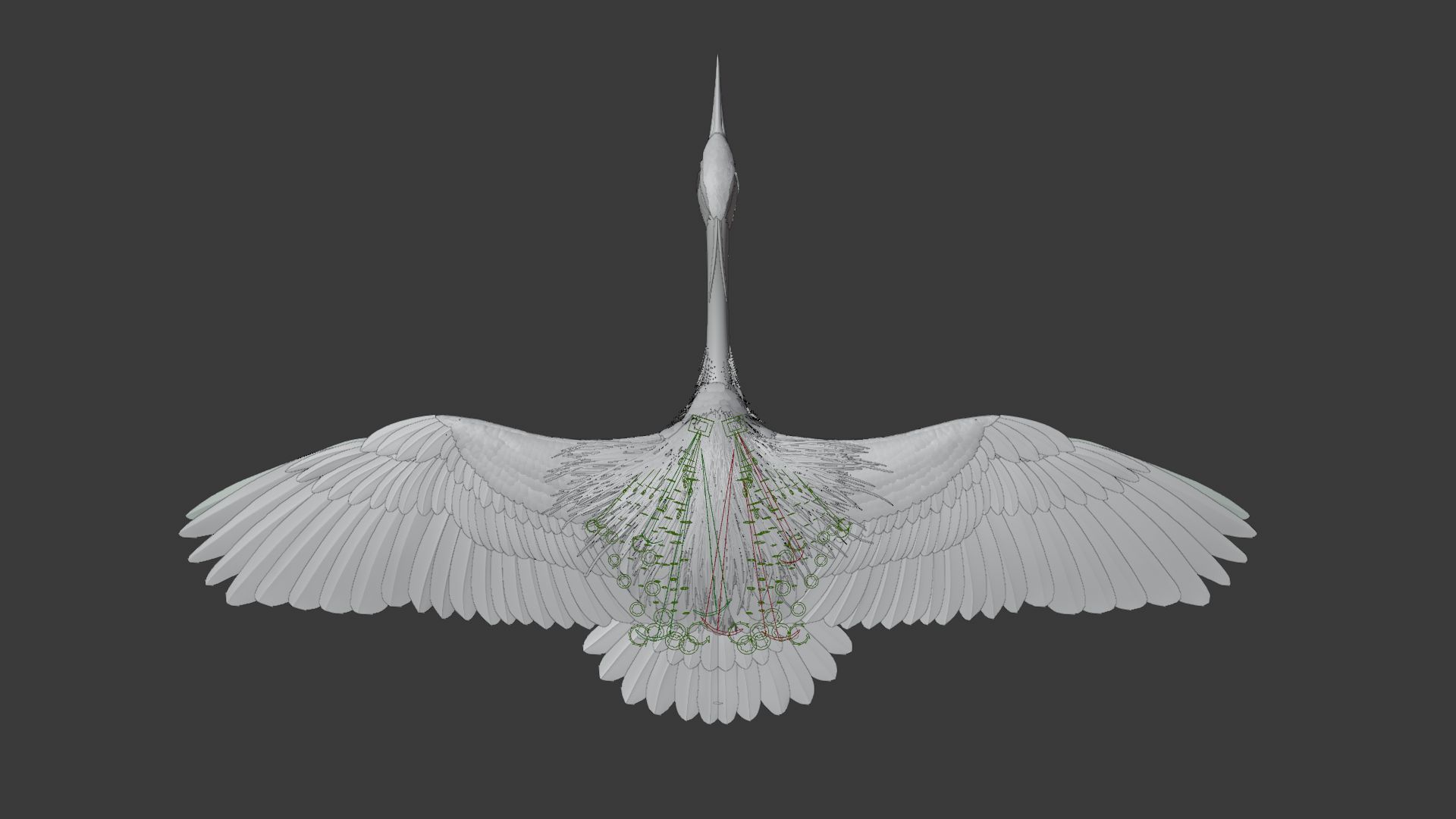 GreyHeron Animation VFX Grace 3D model_27