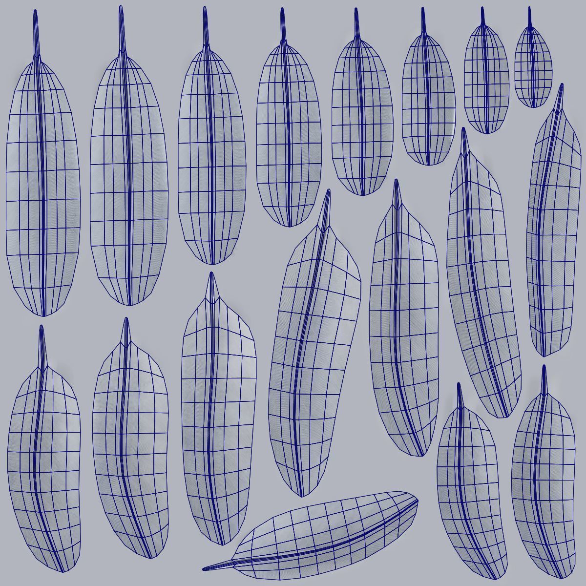 GreyHeron Animation VFX Grace 3D model_38