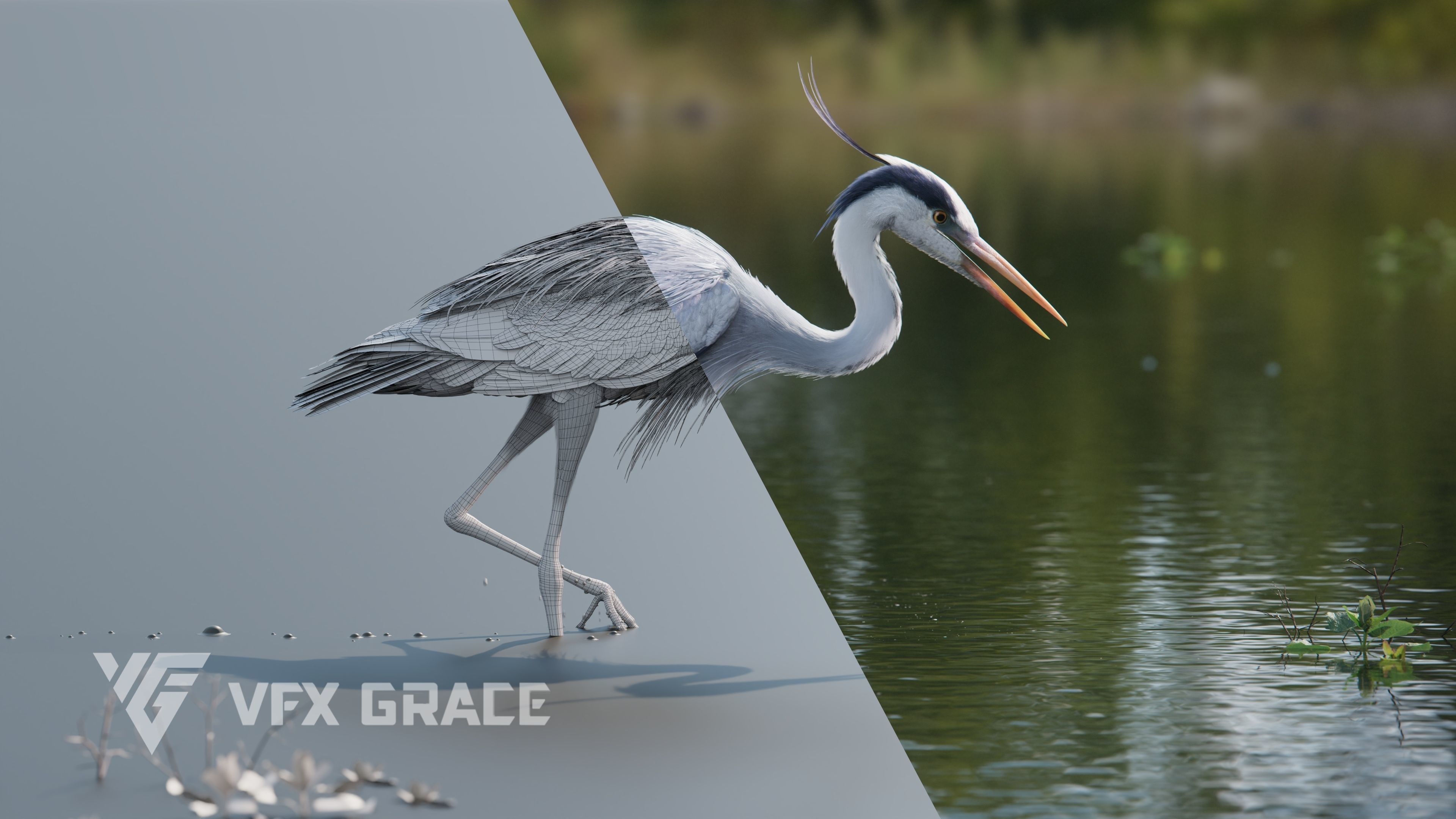 GreyHeron Animation VFX Grace 3D model_9