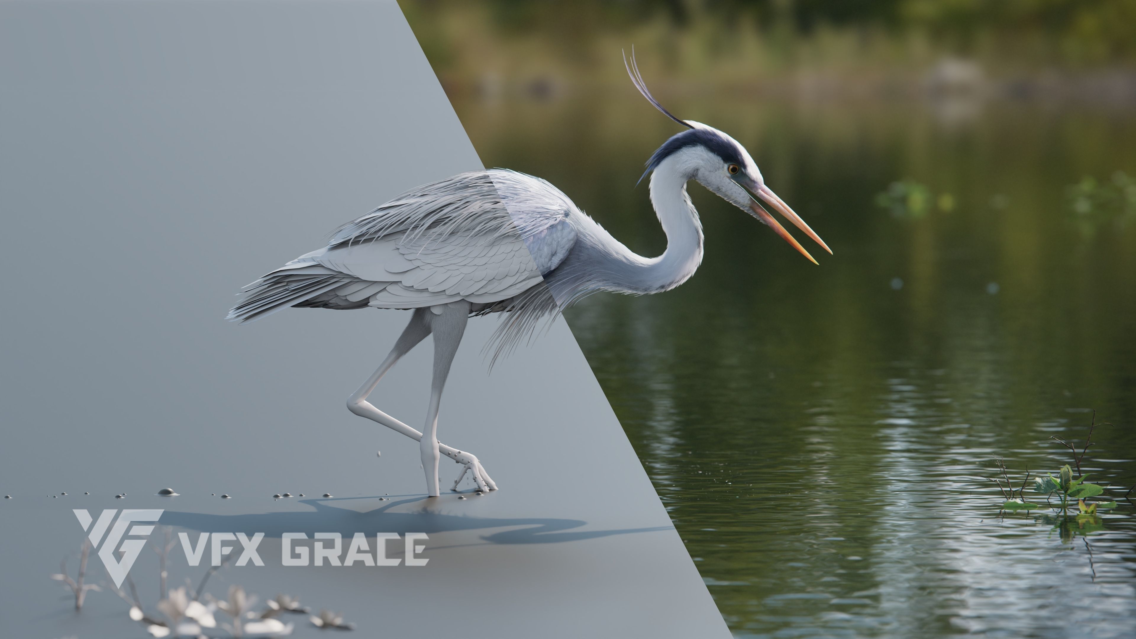 GreyHeron Animation VFX Grace 3D model_8