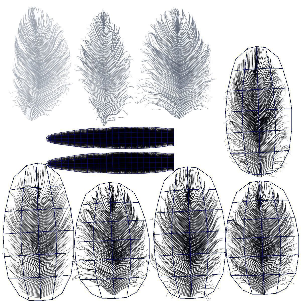 GreyHeron Animation VFX Grace 3D model_41