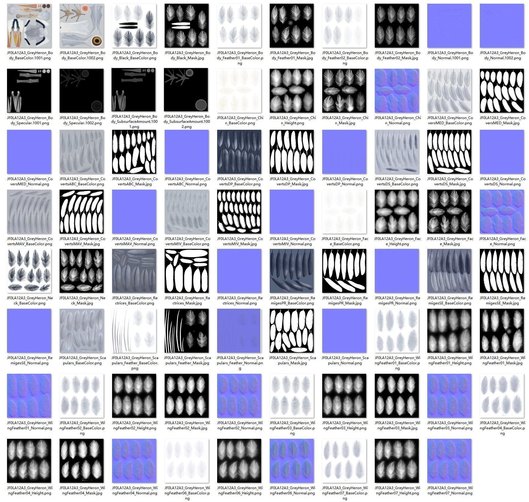 GreyHeron Animation VFX Grace 3D model_33