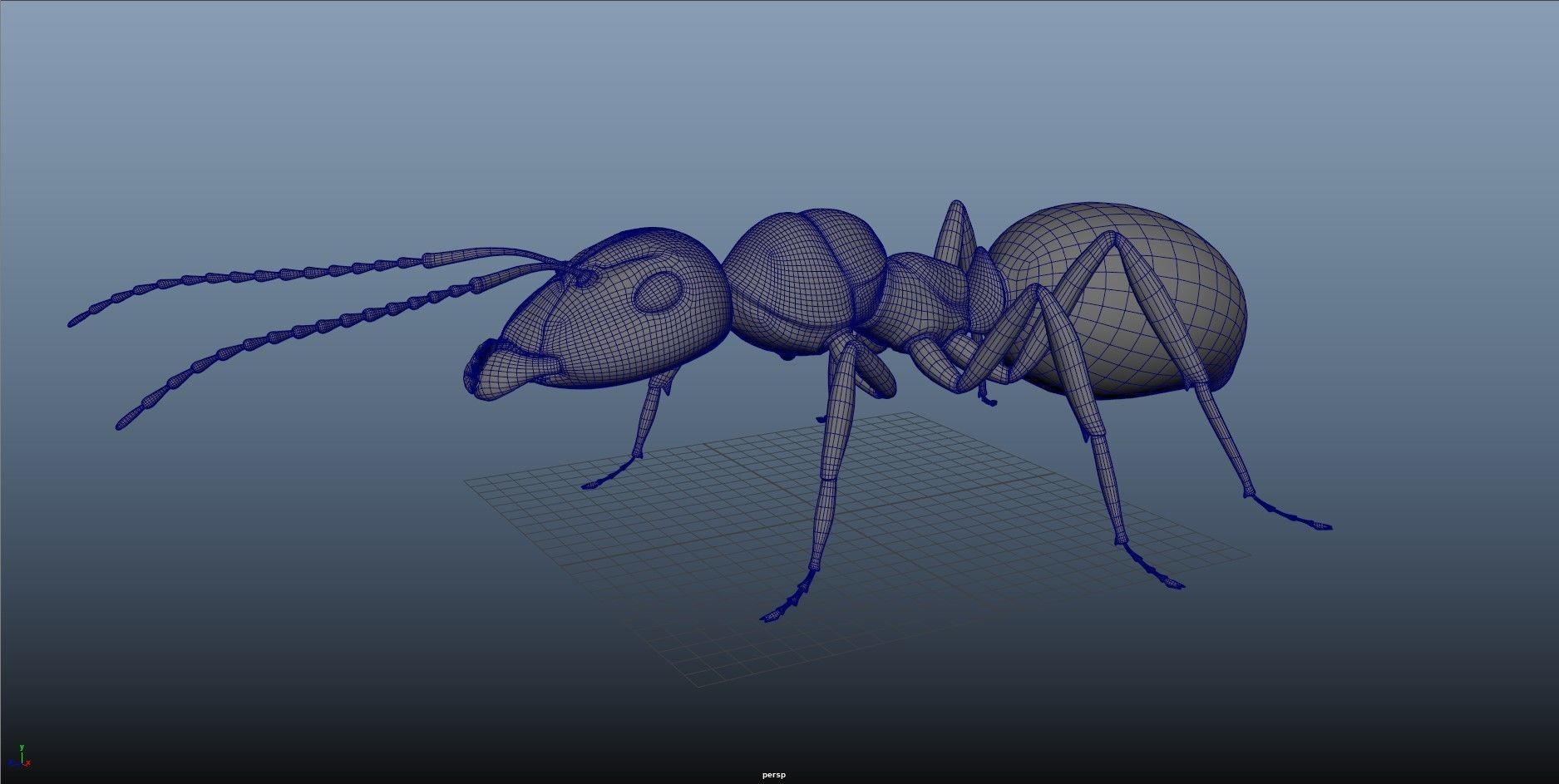 Realistic ant 3D Model Low-poly 3D model_6
