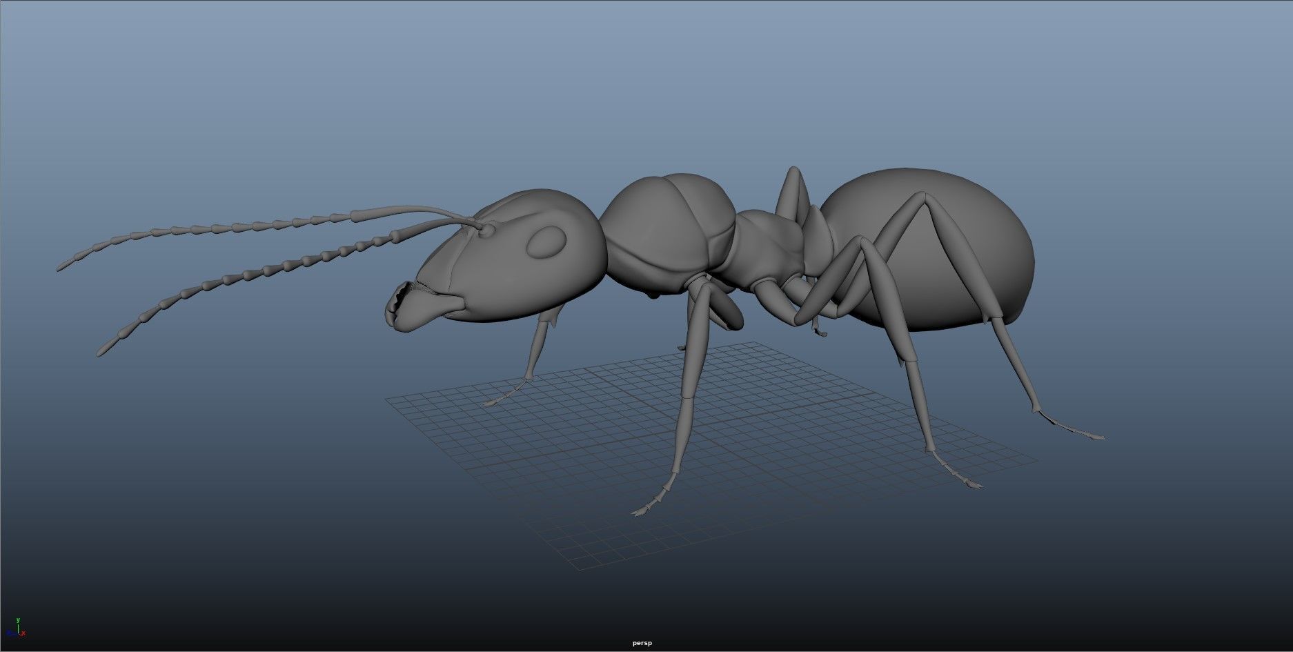 Realistic ant 3D Model Low-poly 3D model_5