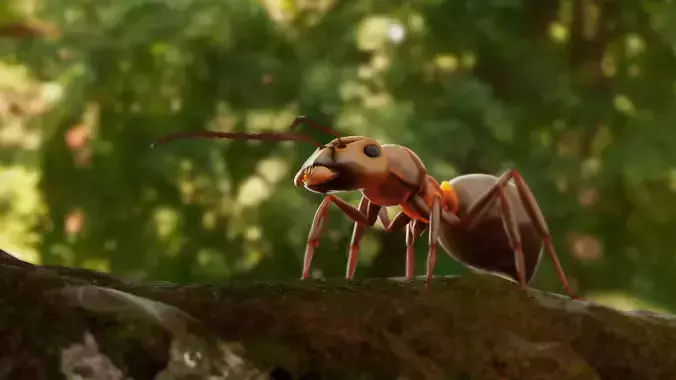 Realistic ant 3D Model Low-poly 3D model