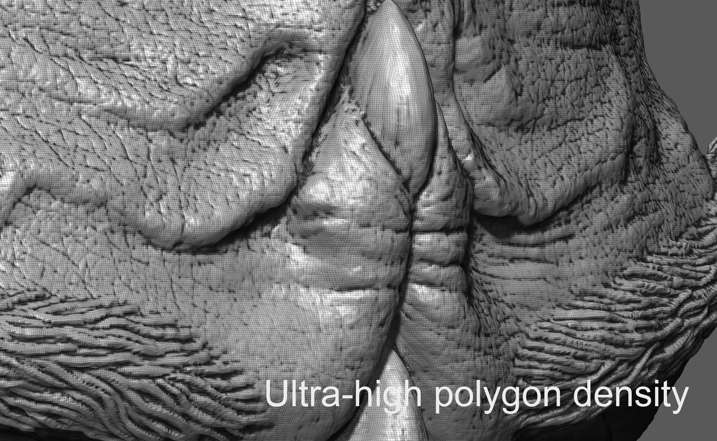 Michael Dorn as Worf Bust Printable 3D Model 3D print model_12