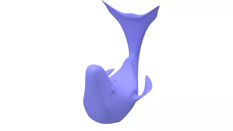 whale balance game 3D print model_0