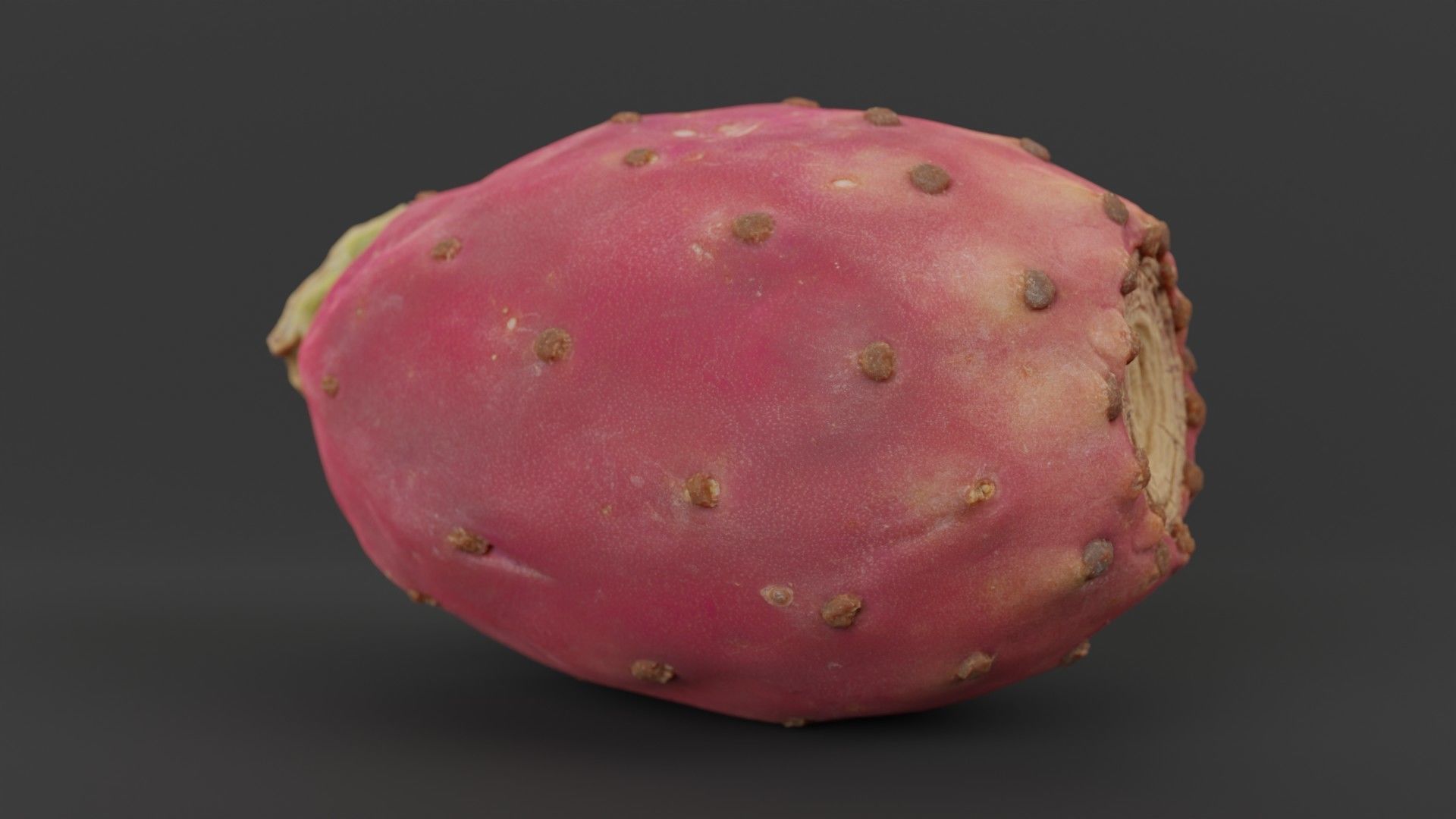 Prickly Pear Photorealistic Low-poly 3D model_4