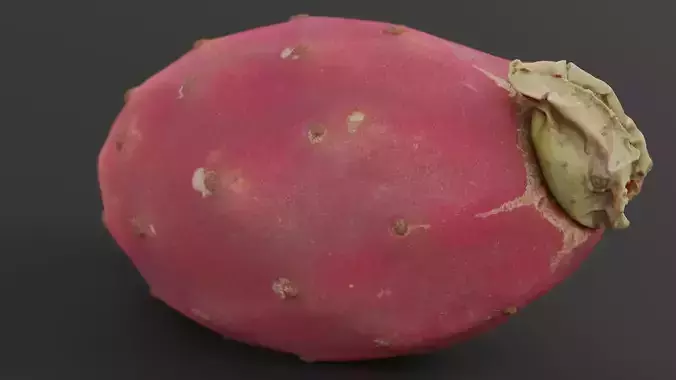 Prickly Pear Photorealistic