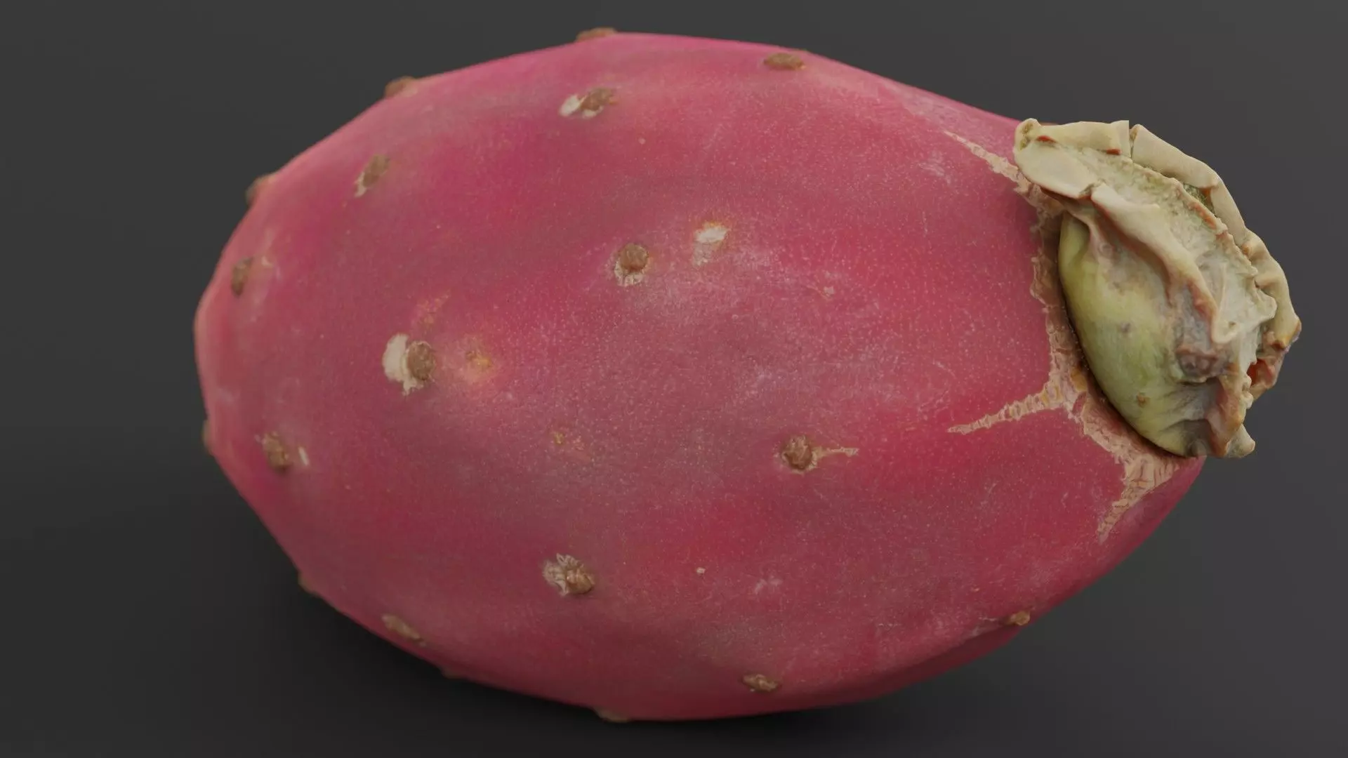 Prickly Pear Photorealistic Low-poly 3D model_0