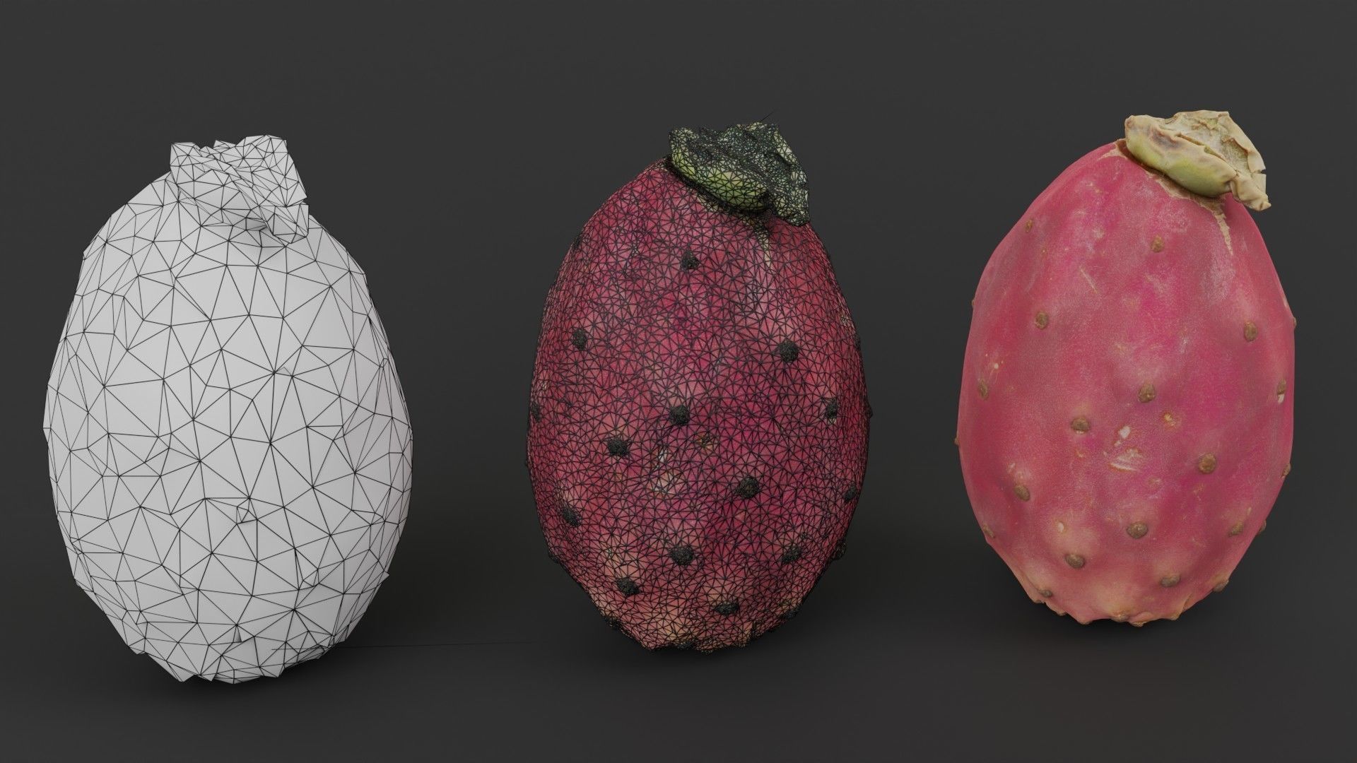 Prickly Pear Photorealistic Low-poly 3D model_1