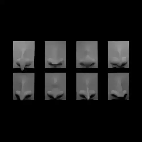 Stylized Nose Collection