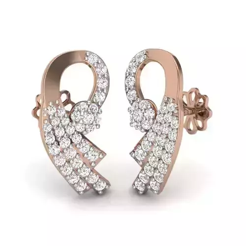 Women studs earrings 3dm render details