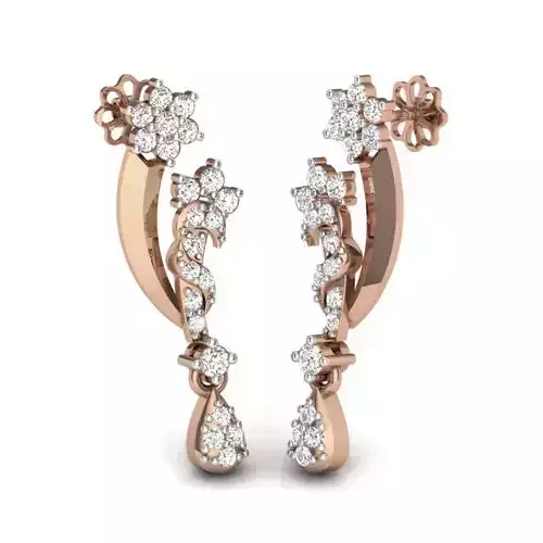 Women earrings 3dm render details