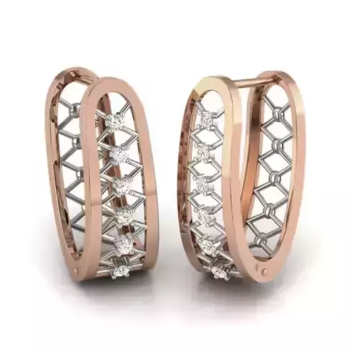 Wire Mesh huggies earrings 3dm render details