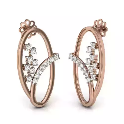 Women studs earrings 3dm render details