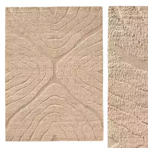 TARRAS WOOL RUG B 3D model
