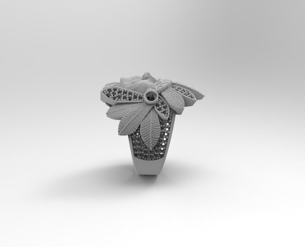 anillo indio  3D print model_2
