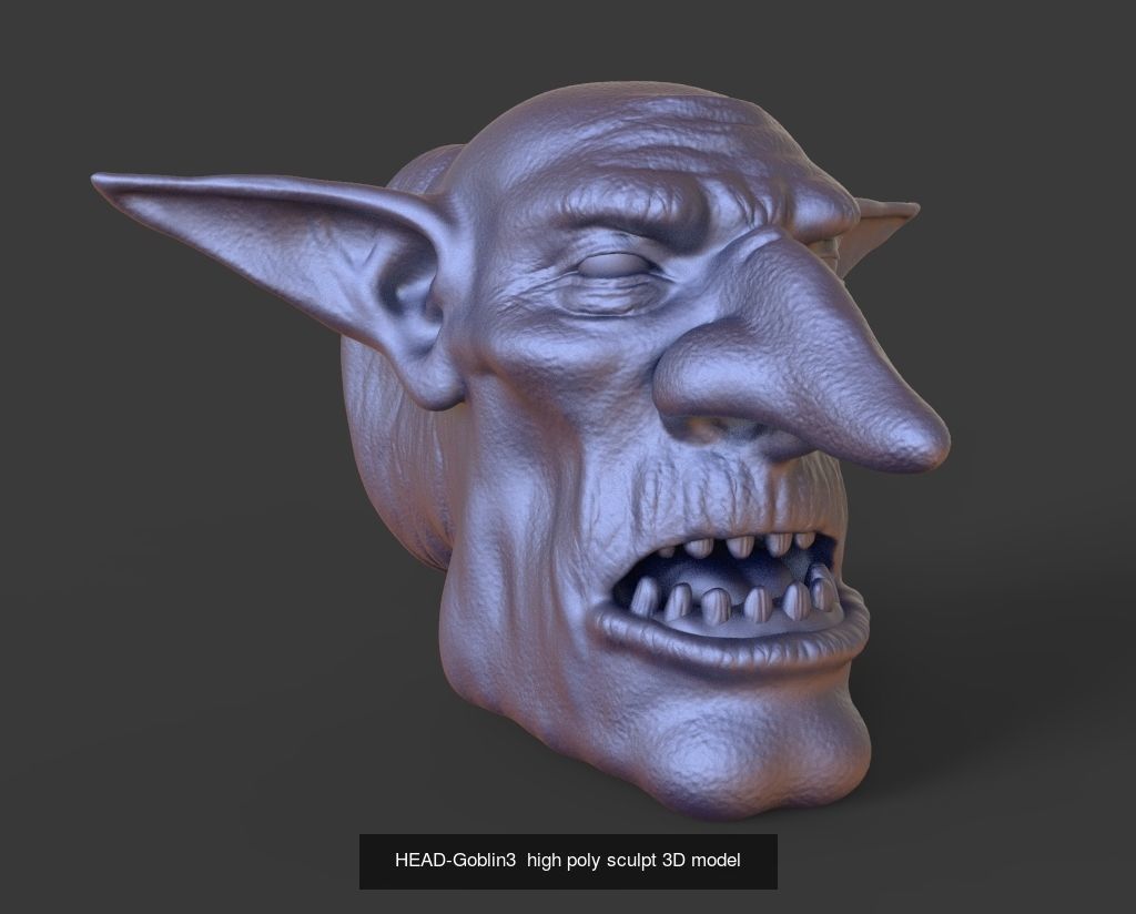 50 HEADS High Poly sculpts 3D model 3D Model Collection _27