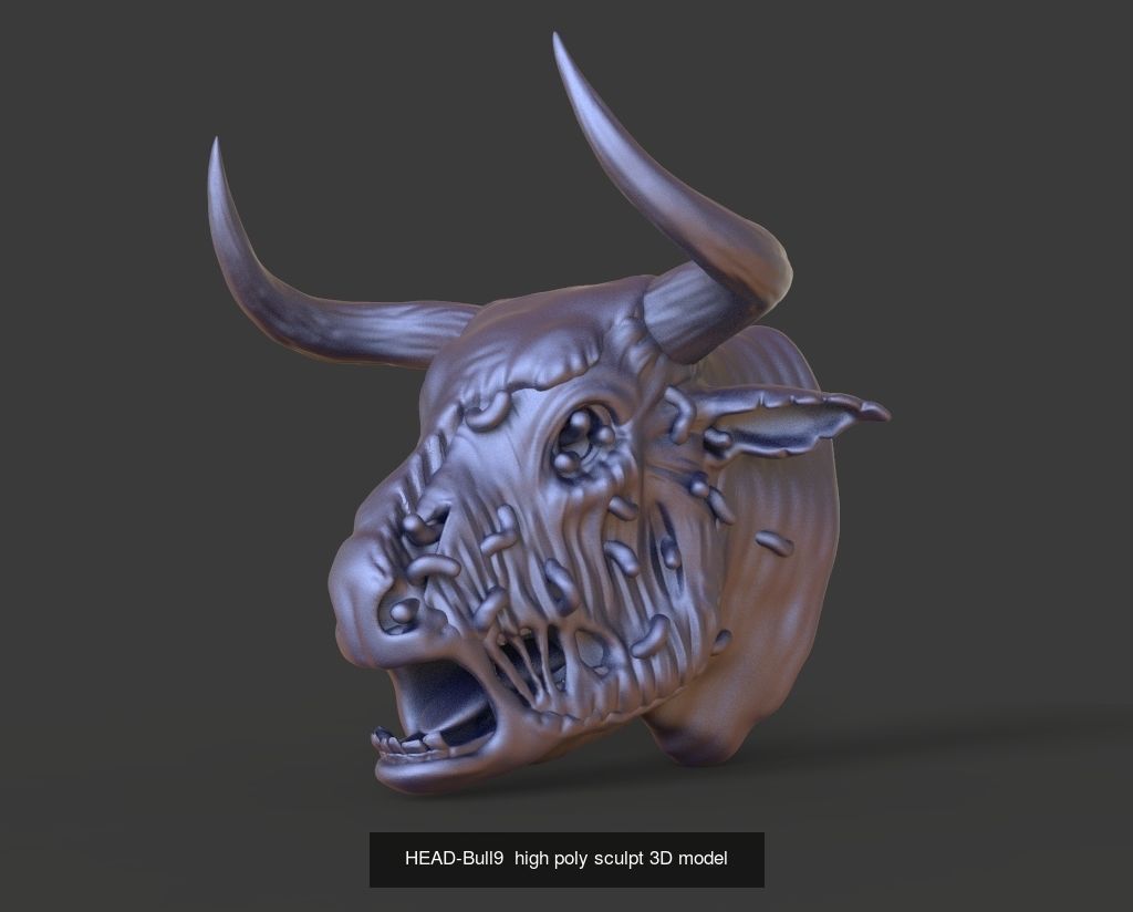 50 HEADS High Poly sculpts 3D model 3D Model Collection _13