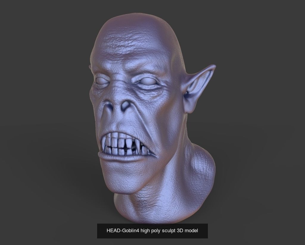 50 HEADS High Poly sculpts 3D model 3D Model Collection _28