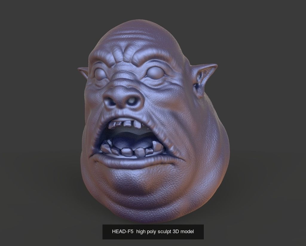 50 HEADS High Poly sculpts 3D model 3D Model Collection _39